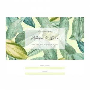 RSVP - Diseño Roberts