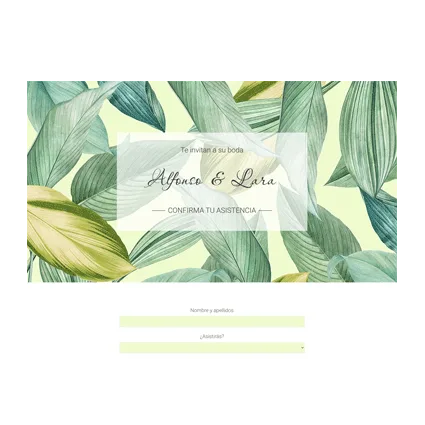 RSVP - Diseño Roberts