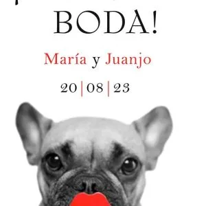 Tarjeta digital - Diseño dog